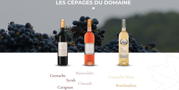 Vins Pierre Richard Cépages du domaine